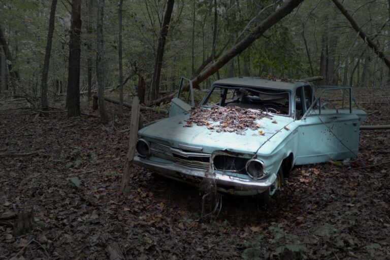 blue sedan in forest