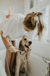 woman bathing dog in bathtub